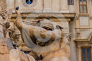 Statue the Fontana dei Quattro Fiumi with pigeons