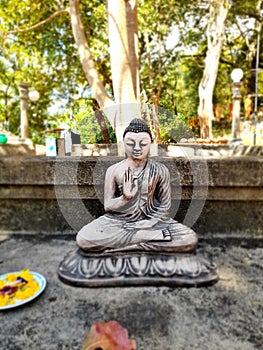 Statue of Gautama Buddha in sri lanka