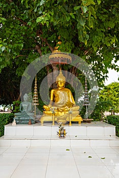 statue of the golden Buddha