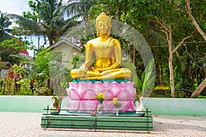 Statue of golden Buddha at the jungle