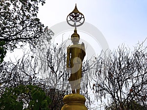 The statue of golden Buddha at a Thai temple
