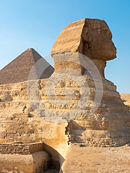 The statue of the Great Sphinx on the Giza plateau against the background of the Egyptian pyramid. Close-up, vertical