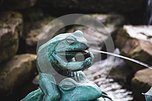 Statue of a Green Frog Cursing with its Middle Finger photo