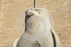 The statue of Horus at Edfu Temple, Egypt