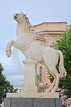 Statue of intractable horse at Arena of the Konnogvardeysky regiment in Saint Petersburg, Russia