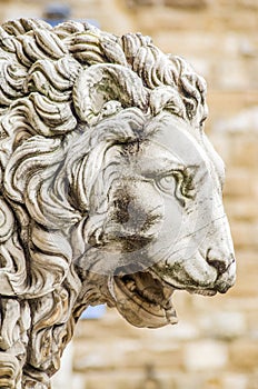 Statue of the Italian Florentine Renaissance: lions defending freedom