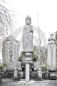 Statue of Kannon Guanyin or Goddess of Mercy, an East Asian bodhisattva, situated at Enkoji temple in Kyoto, Japan