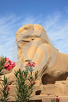 Statue in Karnak Temple