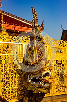 The statue of the king of Nagas.