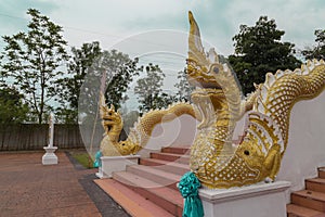 Statue king of nagas