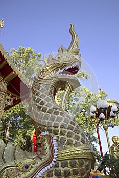 Statue king of nagas in front of buddhism temple, Thailand
