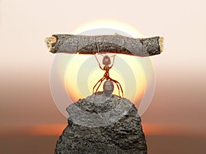 Statue of Labour, ants civilization photo
