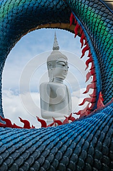 Statue of Large white Buddha In the middle cycle space of Dragon scales