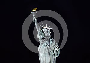 Statue of Liberty at night, New York City