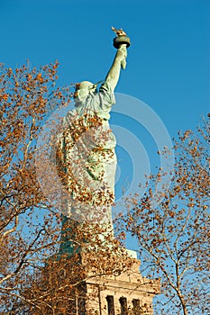 Statue of liberty rear view against blue sky behind trees in aut