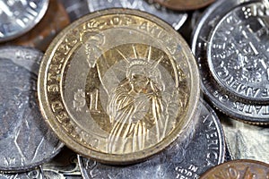 The Statue of Liberty on the reverse side of one American commemorative issue presidential series coin with Martin Van Buren 8th photo