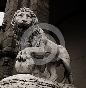 Statue of lion in Florence