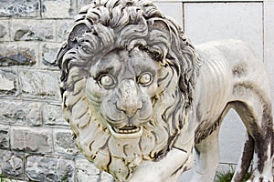 Statue of a lion