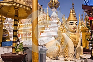 A statue of a lion head Watching the entrance to the pagoda.