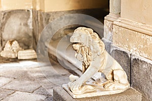 Statue of a lion made of stone in Palazzo degli Elefanti in Catania, Sicily, Italy photo