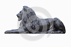 Statue of a lion at Trafalgar Square in London isolated on white photo