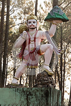 The statue of Lord Hanuman at Shreenagar
