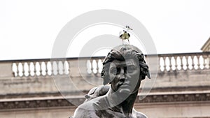 Statue of male with bird on his head