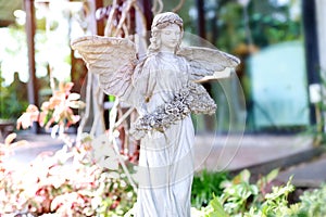 statue of a marble winged angel adorns the garden