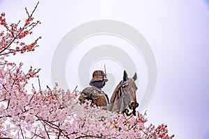 A statue of Masamune Date on horseback entering Sendai Castle in full bloom cherry blossom, Aobayama Park, Sendai, Miyagi, Japan photo