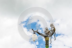 Statue of a monkey family on lamp post on blue sky.