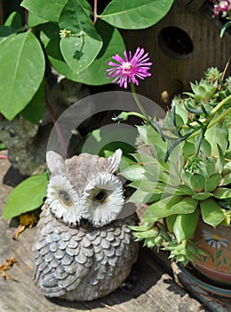Statue of an Owl in a Garden Next to a Blooming Pink Flower