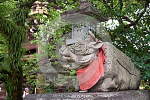 The statue of ox lying down near the stone lantern at Kitano Tenmangu shrine. Kyoto. Japan