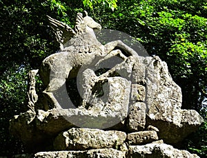 Statue of Pegasus in the forest of Bomarzo. Italy. photo