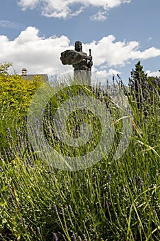 Statue of Pribina at the castle in Slovakia in Nitra and in the foreground is a blooming lavender and a flower bed