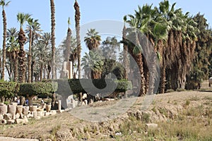 Statue of Rameses II in Mit Rahina Museum