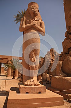 The statue of Ramesses II photo