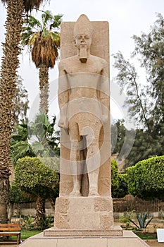 Statue of Ramesses II in Memphis, Cairo, Egypt