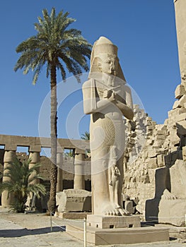 A Statue of Ramses II