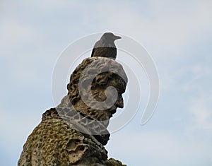 Statue with raven