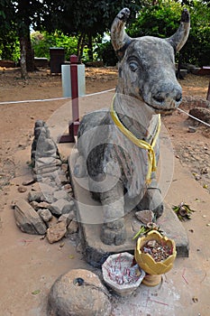 Statue of saint cow in Phnom Bakheng, Angkor