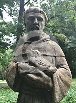 Statue of Saint Francis of Assisi 3