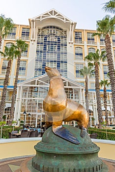 Statue of sea lion in front of Table Bay Hotel in Cape Town
