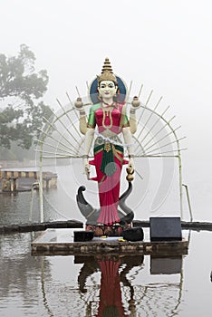 Statue of Shakti in a hindu temple