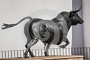 Statue of a Spanish bull photo