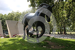 Statue of a stalion in London