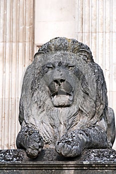 Statue of stone lion