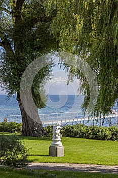 Statue under the tree looking at sea