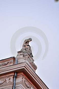 Statue on the University Alexandru Ioan Cuza in Iasi, Romania