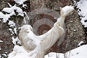 Statue of Vainamoinen, the character in Finnish folklore photo