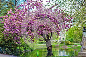 Statue of Valade in Jardin botanique photo